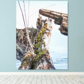 Kijkdoos Canvas Afdruk (Insitu (Houten vloer))