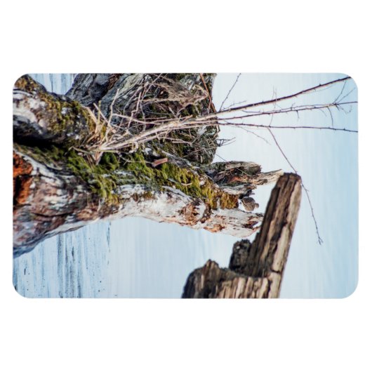 Kijkdoos Magneet (Horizontaal)