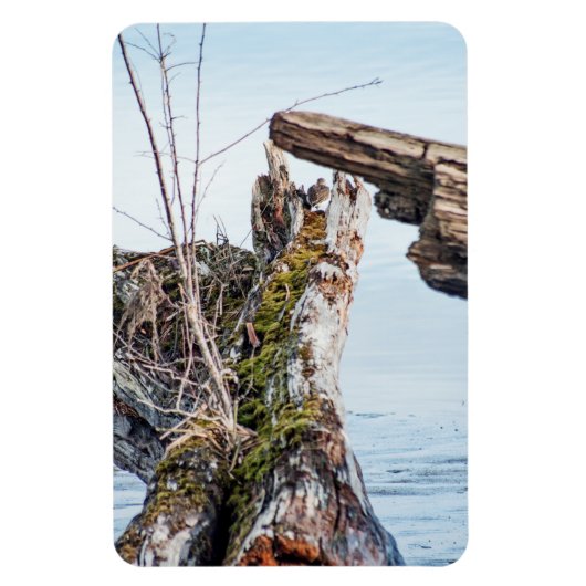 Kijkdoos Magneet (Verticaal)