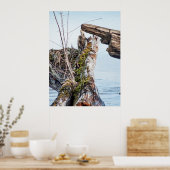 Kijkdoos Poster (Keuken)