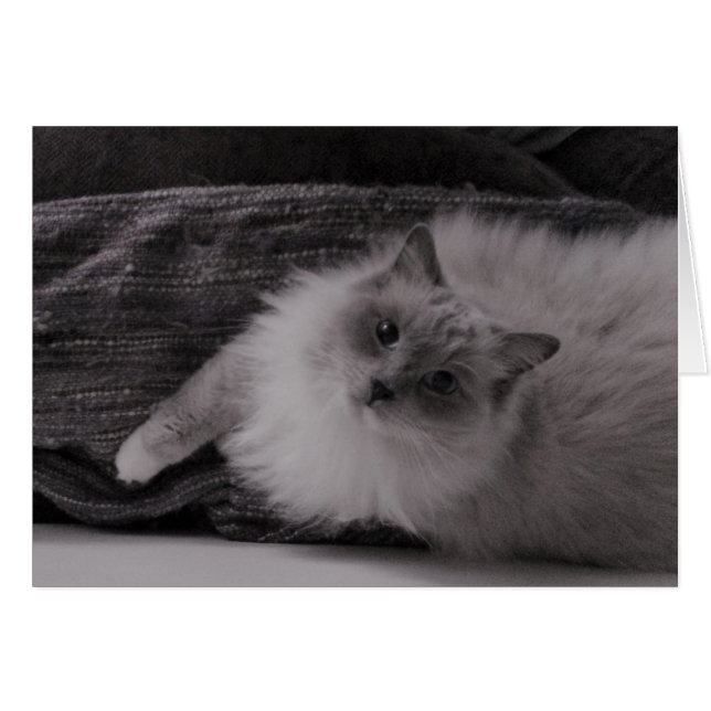 Kijken (Voorkant Horizontaal)