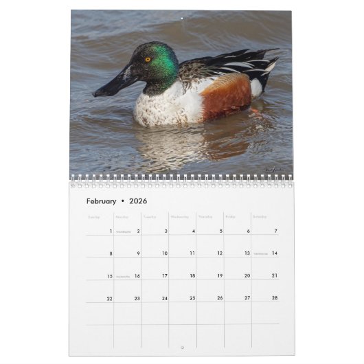 Kijken 2025 Kalender (Feb 2026)