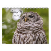 Kijken 2025 Kalender (Hoes)