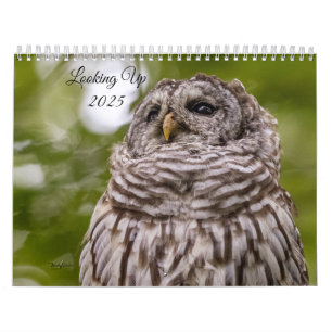 Kijken 2025 Kalender