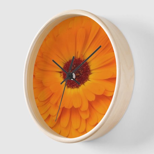 Kijken decoreren muurkunst (Hoek)