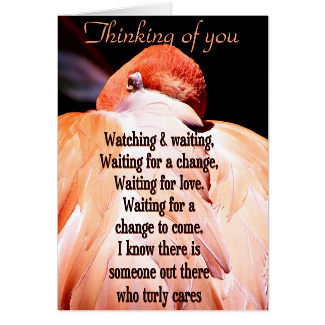 Kijken en wachten_ (Voorkant)