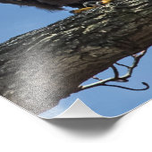 Kijken Foto Afdruk (Hoek)