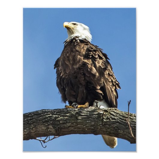 Kijken Foto Afdruk (Voorkant)