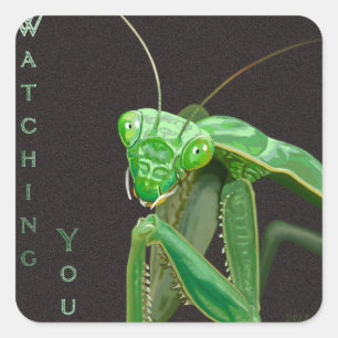 Kijken - Groene versie Vierkante Sticker