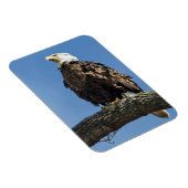 Kijken Magneet (Rechterzijde)