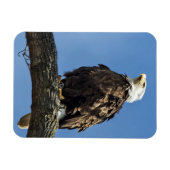 Kijken Magneet (Horizontaal)