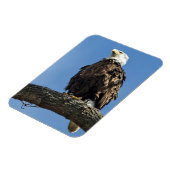 Kijken Magneet (Linkerzijde)