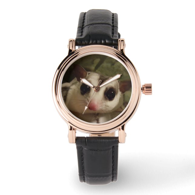 Kijken met suikerzweefvliegtuig horloge (Voorkant)