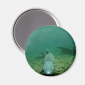 Kijken Monster Magneet (Voorkant / Achterkant)