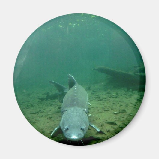 Kijken Monster Magneet (Voorkant)