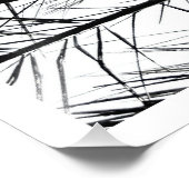 Kijken naar boven // Zwart en wit Florida Palm Foto Afdruk (Hoek)