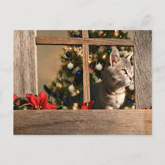 Kijken naar de Kerstman Feestdagenkaart (Voorkant)