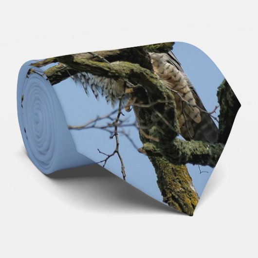 Kijken naar een majestueuze slechtvalk stropdas (Opgerold)