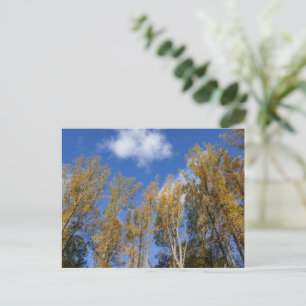 Kijken naar gele tulpenbomen I Briefkaart
