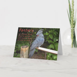 Kijken naar mijn rug kaart