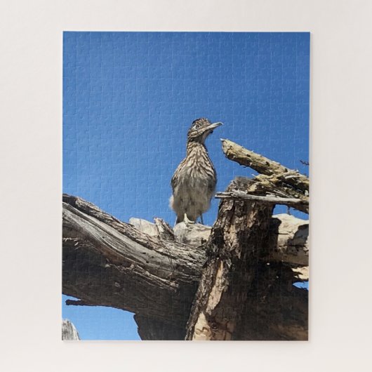 Kijken naar Mr Coyote Legpuzzel (Verticaal)