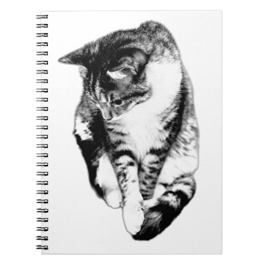 Kijken naar Tabby Cat Monochrome Notitieboek (Voorkant)