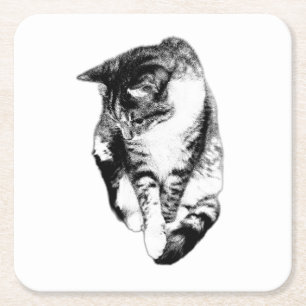 Kijken naar Tabby Cat Monochrome Onderzetter