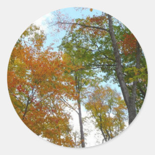 Kijken naar vallende bladeren I Kleurrijk herfstbl Ronde Sticker
