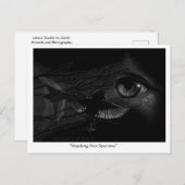 Kijken over Sparrows Postcrossing Briefkaart (Voorkant / Achterkant)