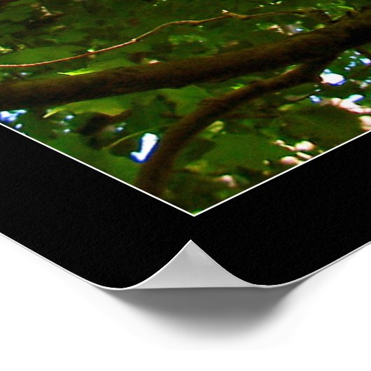 Kijken Poster (Hoek)