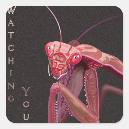 Kijken - Roze versie Vierkante Sticker (Voorkant)