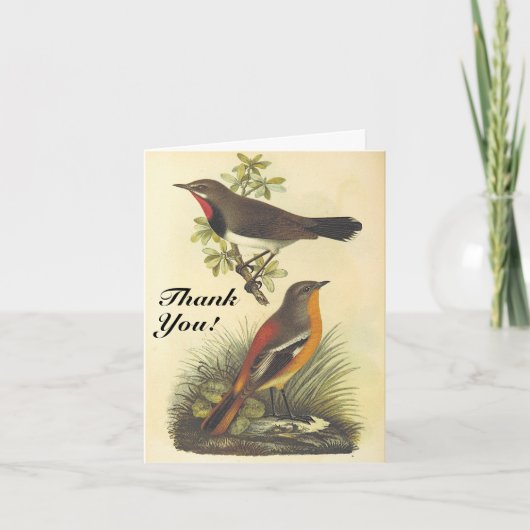 kijken vogels, "Dank je wel!" Kaart (Voorkant)