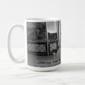 Kijkend naar beneden memory lane cat mok (Links)