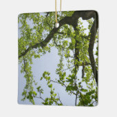Kijkend naar de Populaire boom van de Lente Keramisch Ornament (Links)