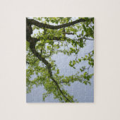 Kijkend naar de Populaire boom van de Lente Legpuzzel (Verticaal)