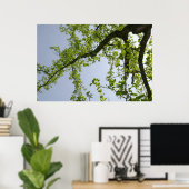 Kijkend naar de Populaire boom van de Lente Poster (Thuiskantoor)