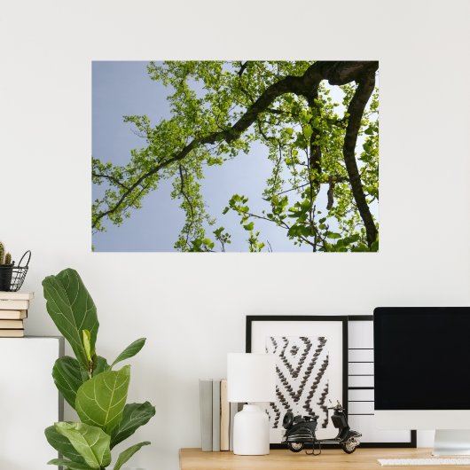 Kijkend naar de Populaire boom van de Lente Poster (Thuiskantoor)