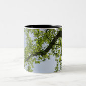 Kijkend naar de Populaire boom van de Lente Tweekleurige Koffiemok (Center)