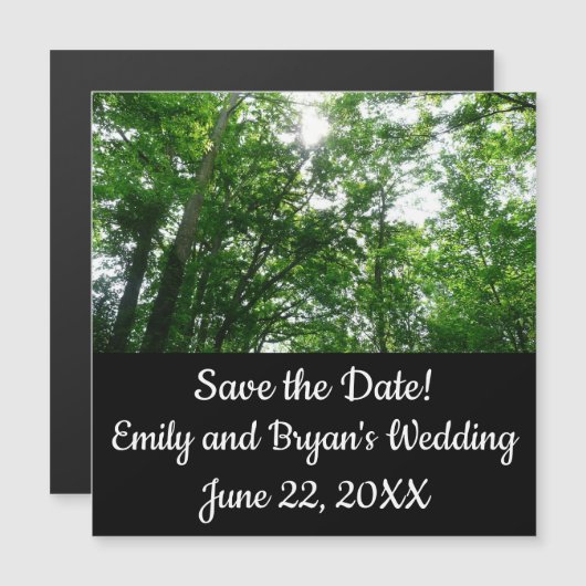 Kijkend omhoog naar de Bomen van de Zomer (Voorkant / Achterkant)