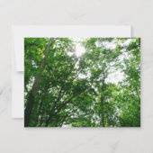 Kijkend omhoog naar de Bomen van de Zomer (Voorkant)