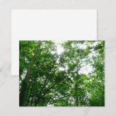 Kijkend omhoog naar de Bomen van de Zomer (Voorkant / Achterkant)