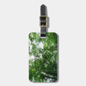 Kijkend omhoog naar de Bomen van de Zomer Bagagelabel (Voorkant verticaal)