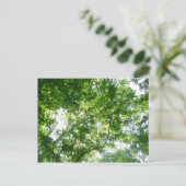 Kijkend omhoog naar de Bomen van de Zomer Briefkaart (Staand voorkant)