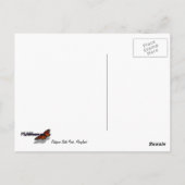 Kijkend omhoog naar de Bomen van de Zomer Briefkaart (Achterkant)