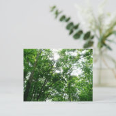 Kijkend omhoog naar de Bomen van de Zomer Briefkaart (Staand voorkant)
