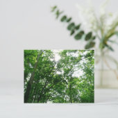 Kijkend omhoog naar de Bomen van de Zomer Briefkaart (Staand voorkant)