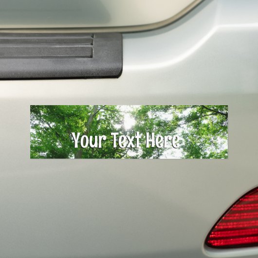 Kijkend omhoog naar de Bomen van de Zomer Bumpersticker (Op auto)