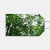 Kijkend omhoog naar de Bomen van de Zomer Cadeaulabel (Voorkant (Horizontaal))