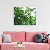 Kijkend omhoog naar de Bomen van de Zomer Canvas Afdruk (Insitu (Woonkamer))