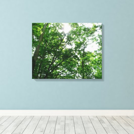 Kijkend omhoog naar de Bomen van de Zomer Canvas Afdruk (Insitu (Houten vloer))